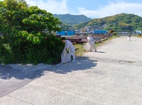 清掃活動